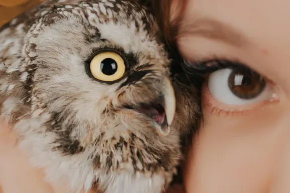 Cazino Lucky Tiger Cazinou Suport